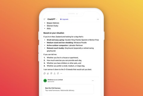 Introducing ChatGPT Ads in New Zealand