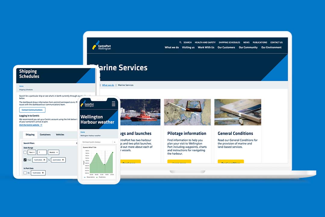 examples of webpages on the newly designed centreport website