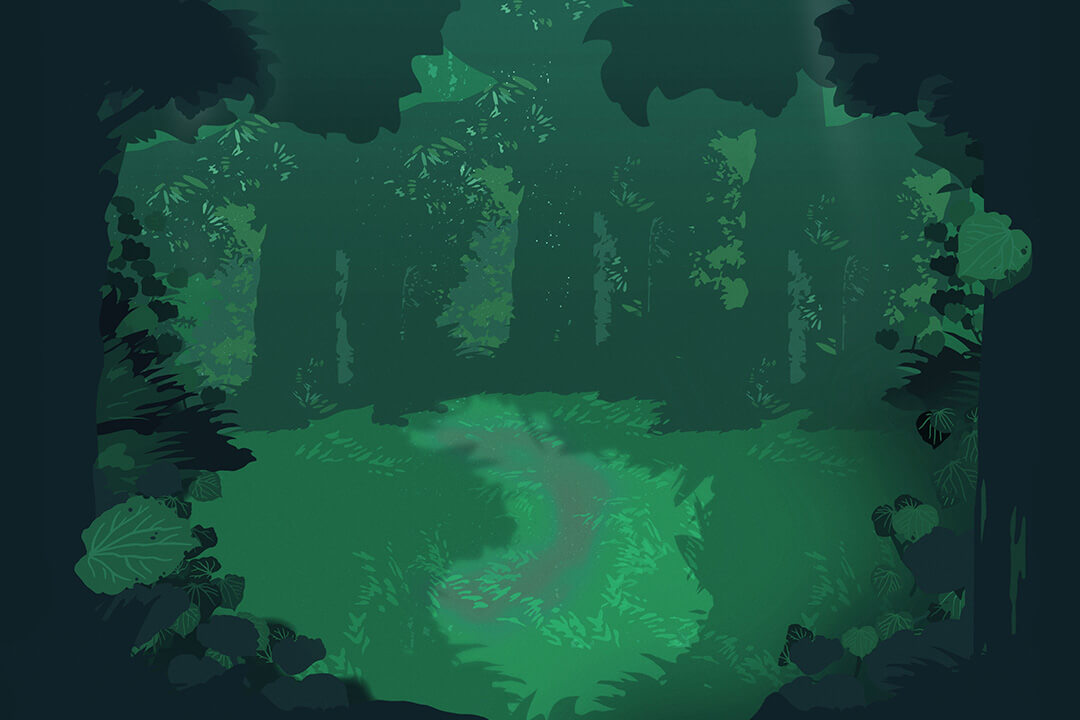 forest illustration