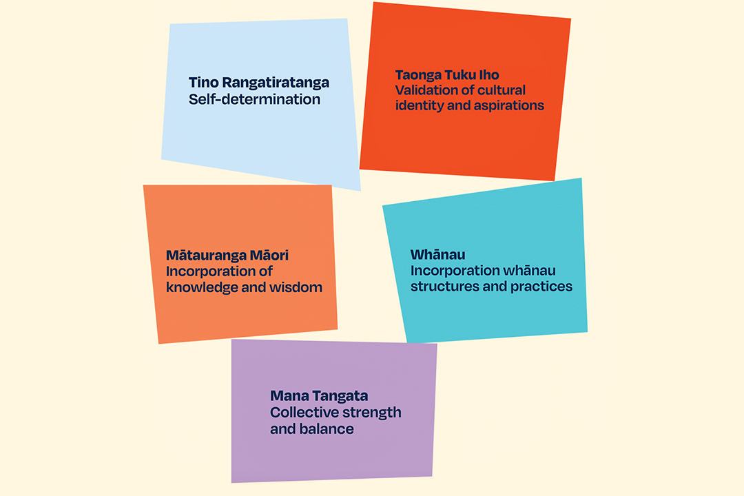 kaupapa maori principles v2