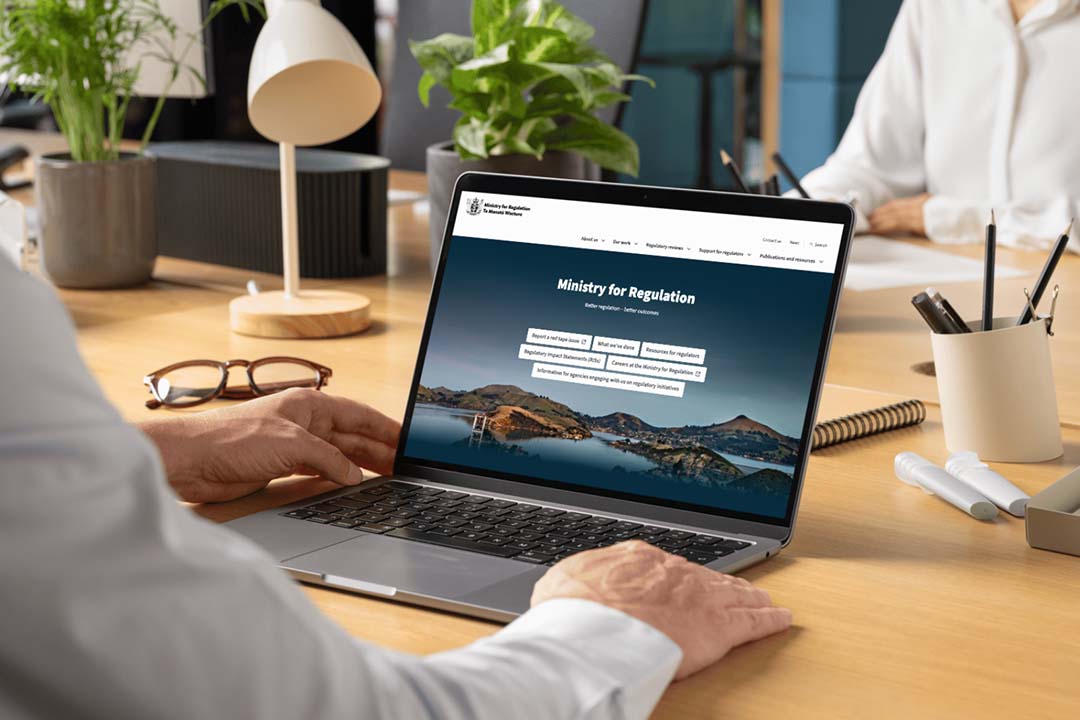 man exploring ministry for regulation website on laptop