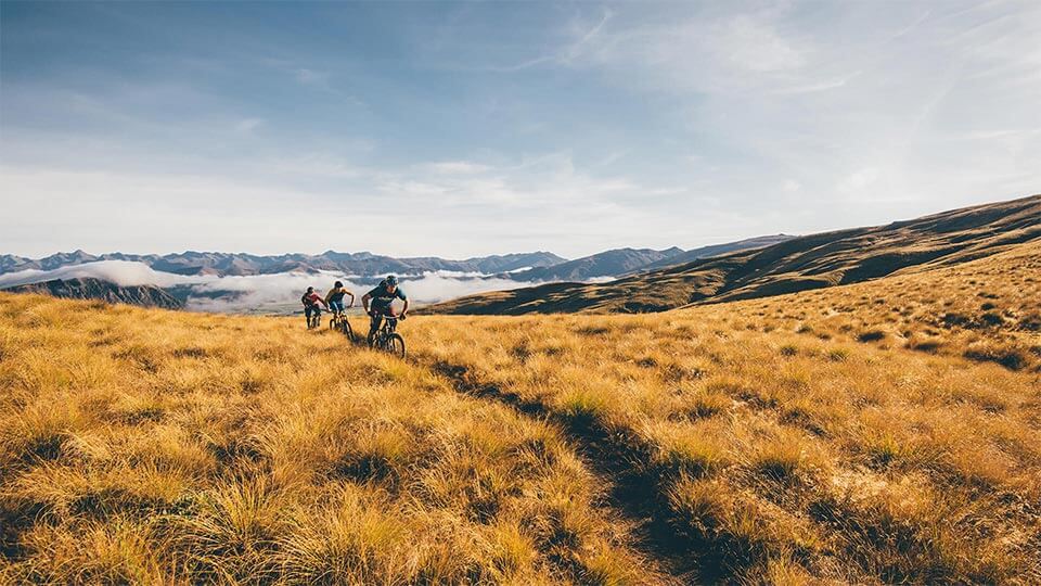 mountain biking stock image