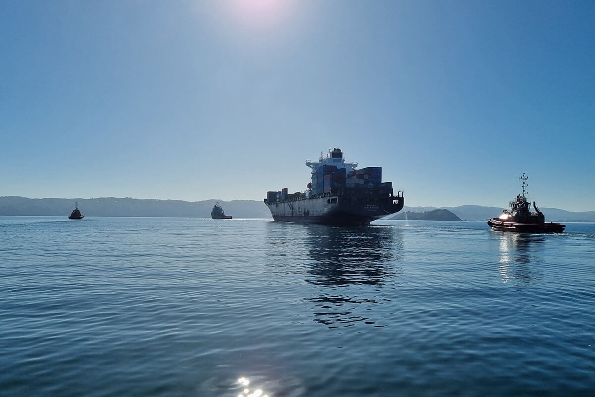 ships in wellington harbour