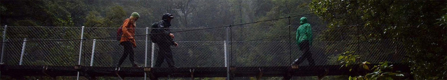 walking track bridge stock image