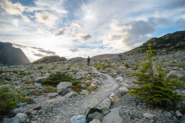 walking track stock image 1