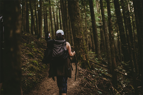 walking track stock image 2